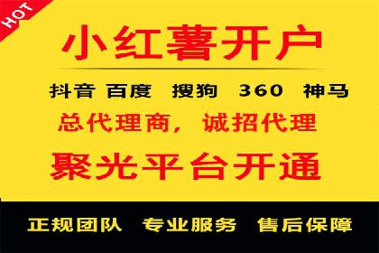 网络推广与竞价广告：双管齐下的策略案例